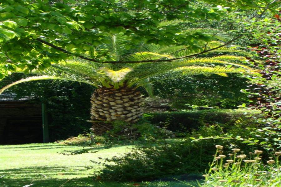 San Javier,Córdoba,Argentina,6 Habitaciones Habitaciones,5 BañosBaños,Chacras-Quintas,1360